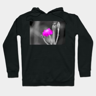 Magenta Flower Selective Color Photography Hoodie